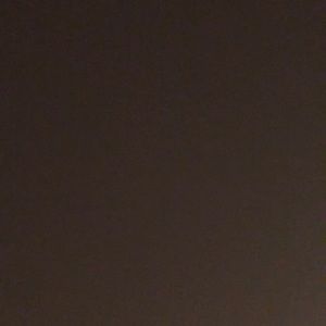 Meet your Posher, Bella